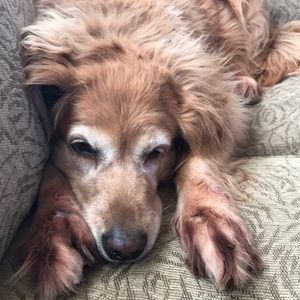 Meet your Posher, Donnie